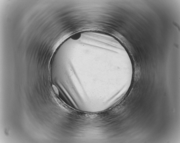 X0000102501242200808291704