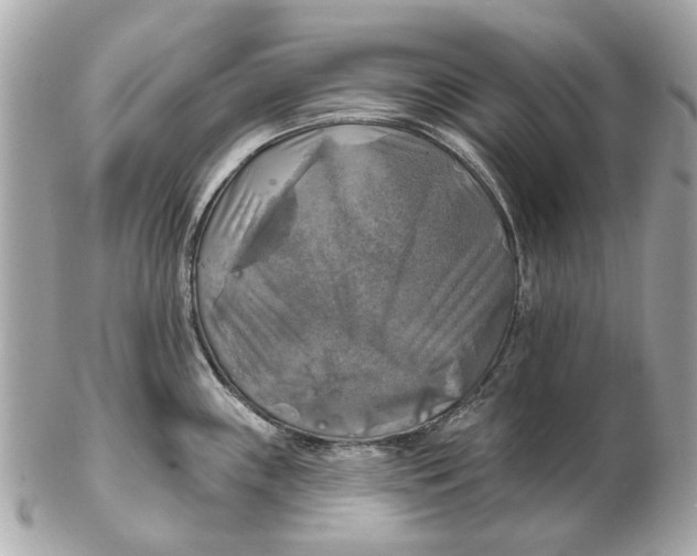 X0000102501243200808291704