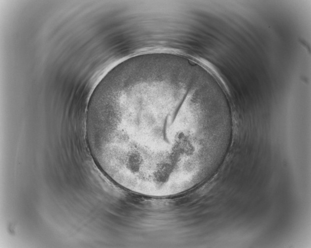 X0000102501244200808291704