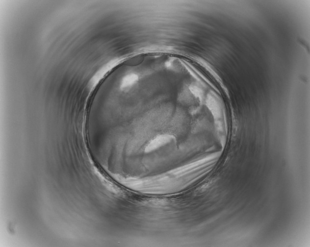 X0000102501245200808291704