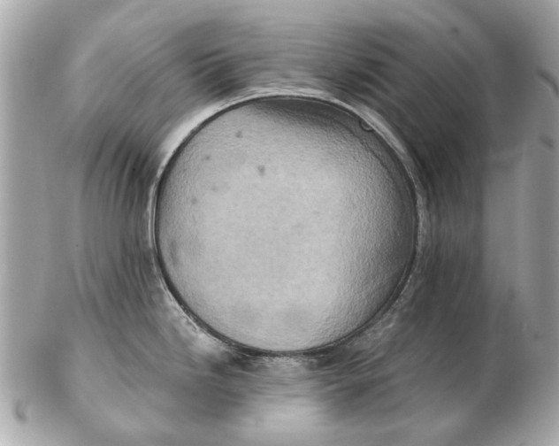 X0000102501246200808291705