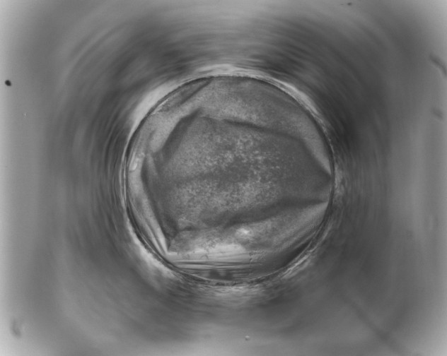 X0000102501247200808291705