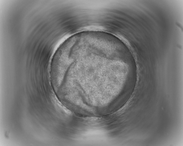 X0000102501248200808291705