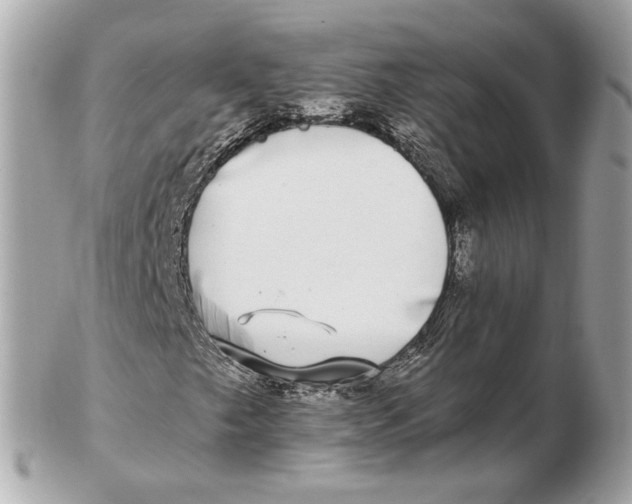 X0000102501249200808291704