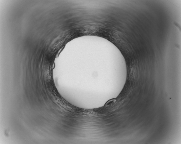 X0000102501250200808291704