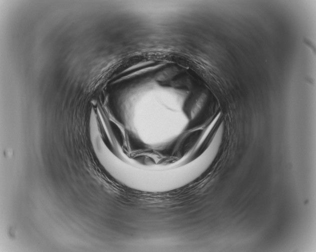 X0000102501252200808291704