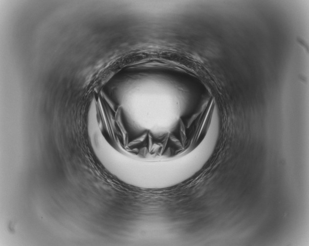 X0000102501253200808291704