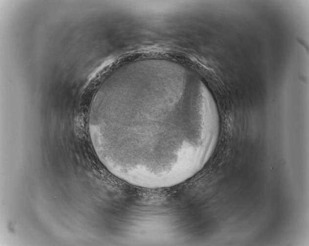 X0000102501254200808291704