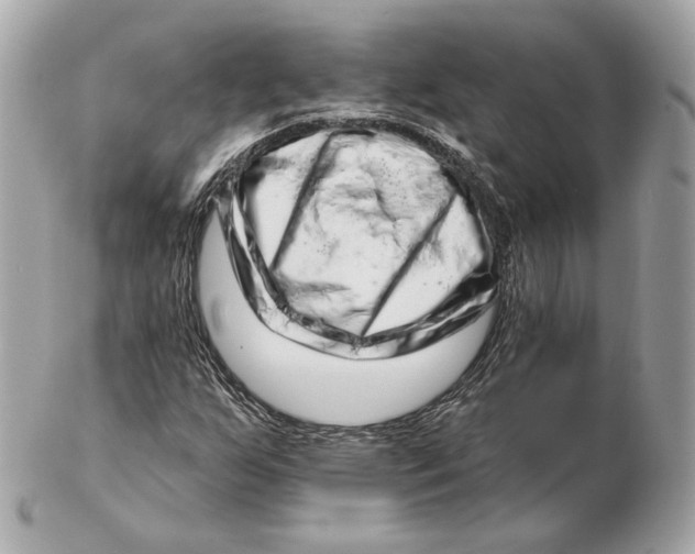 X0000102501255200808291704