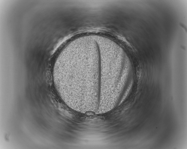 X0000102501256200808291704