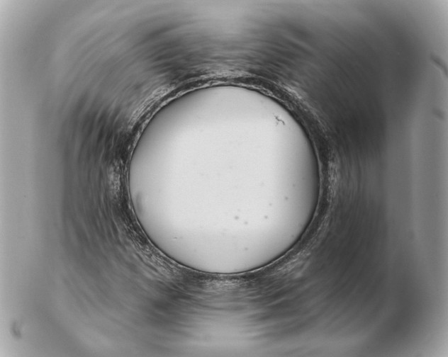 X0000102501257200808291704