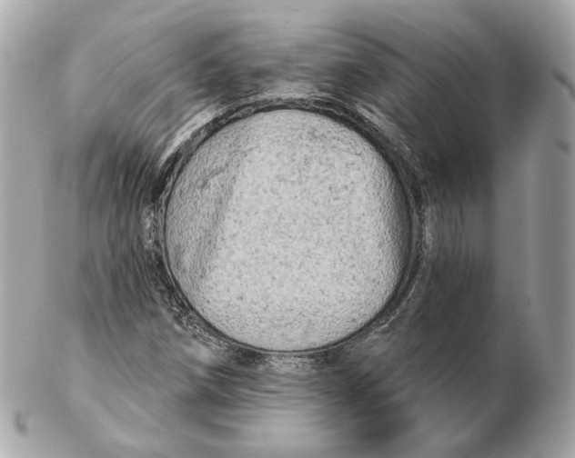 X0000102501258200808291704