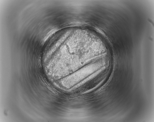 X0000102501259200808291704