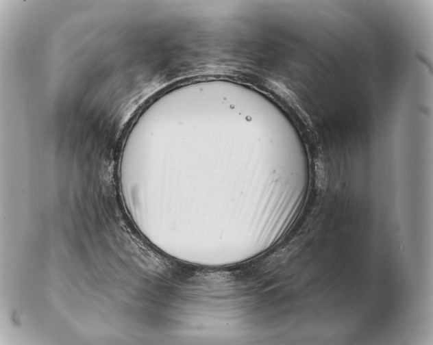 X0000102501260200808291704