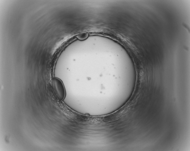 X0000102501262200808291704