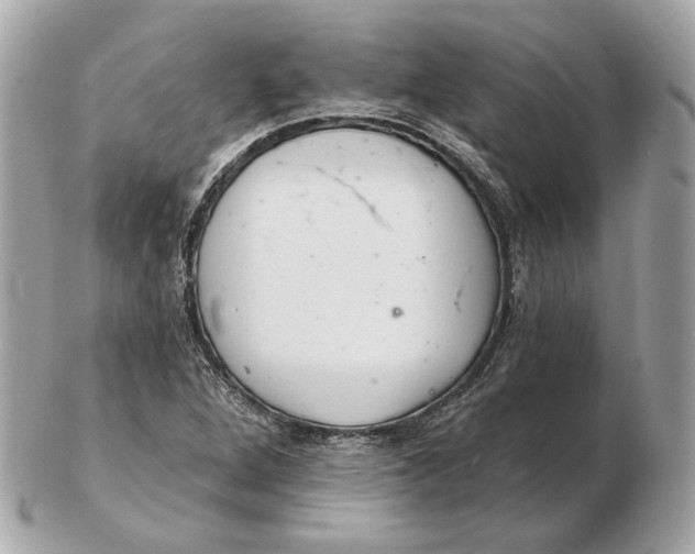 X0000102501264200808291704