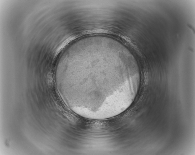 X0000102501266200808291704