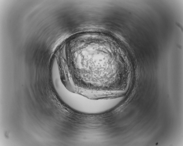 X0000102501267200808291704