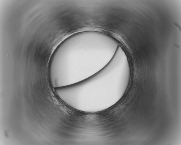 X0000102501268200808291704