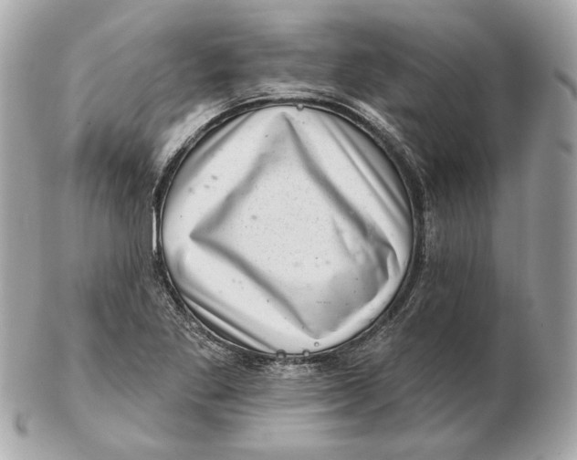 X0000102501269200808291704