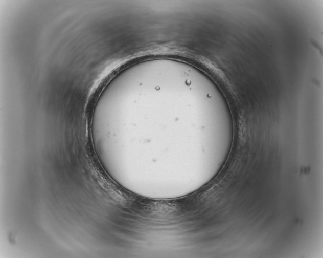 X0000102501270200808291704