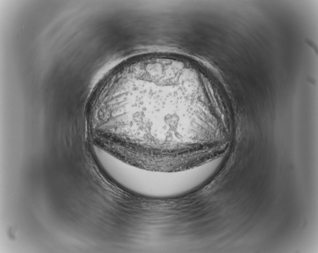 X0000102501271200808291704