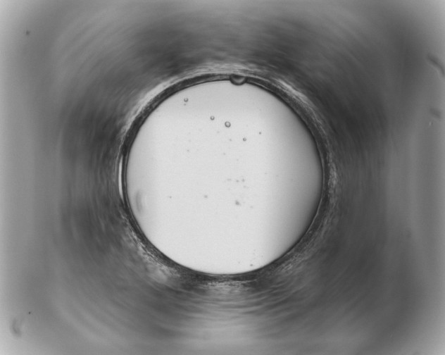 X0000102501272200808291704