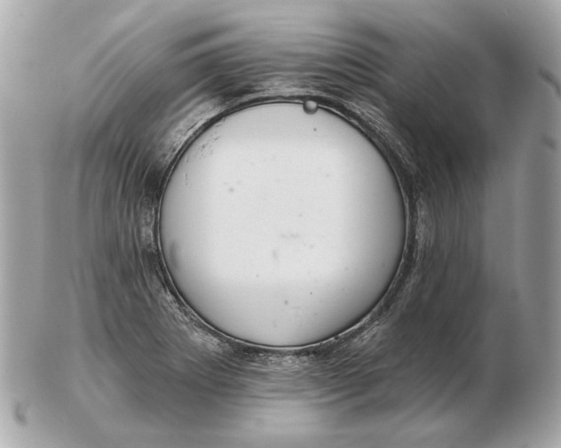 X0000102501273200808291704