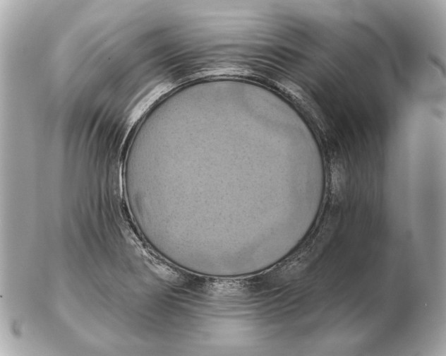 X0000102501274200808291704