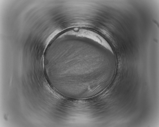 X0000102501275200808291704