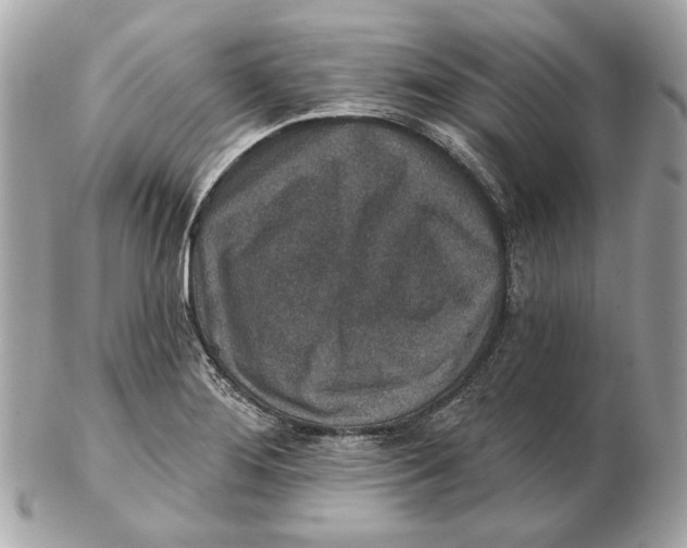 X0000102501276200808291704