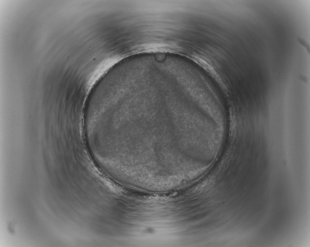 X0000102501277200808291703