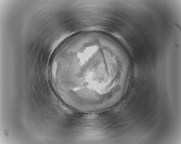 X0000102501278200808291703