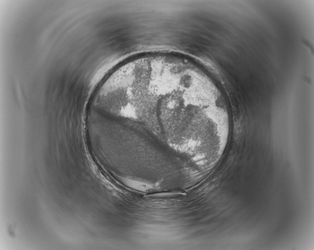 X0000102501279200808291703