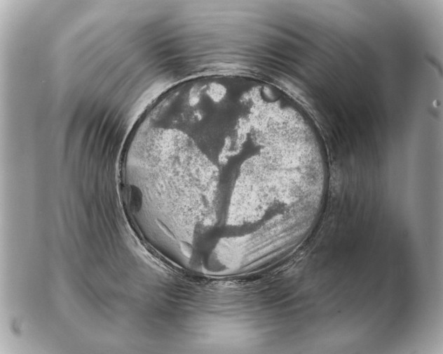 X0000102501283200808291703