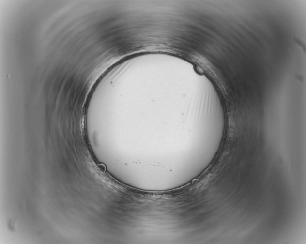 X0000102501284200808291703