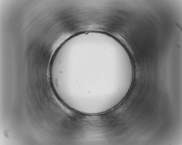 X0000102501285200808291703