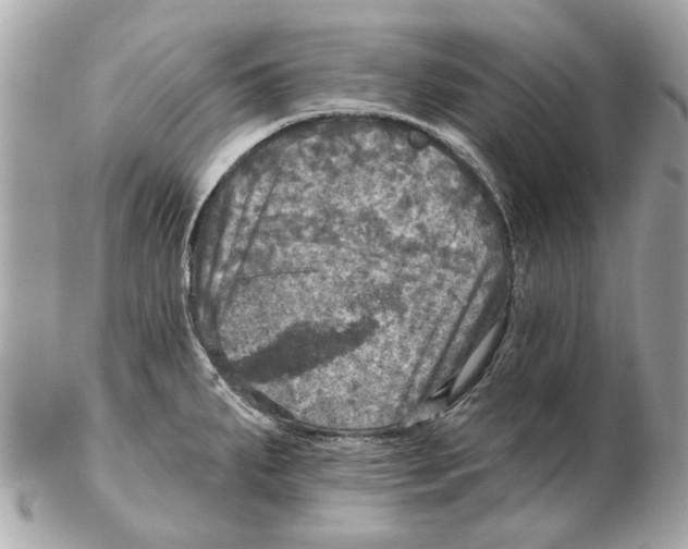 X0000102501287200808291703