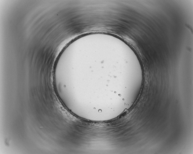 X0000102501288200808291703