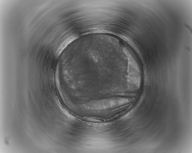 X0000102501289200808291703