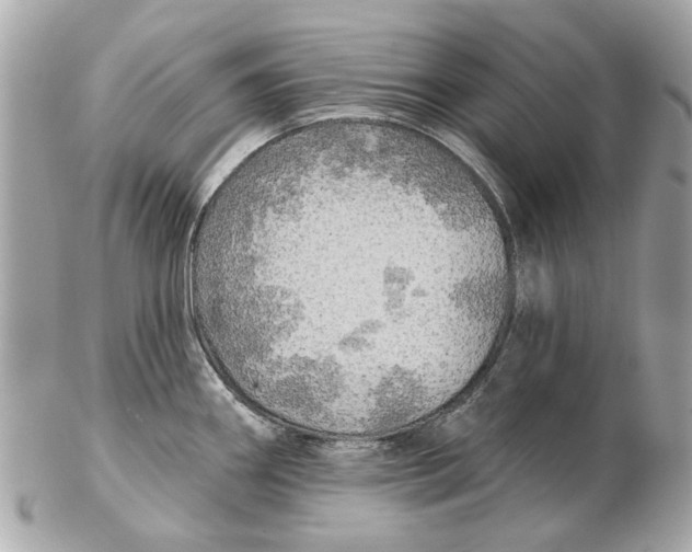 X0000102501290200808291703