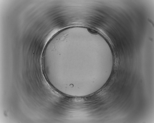 X0000102501291200808291703