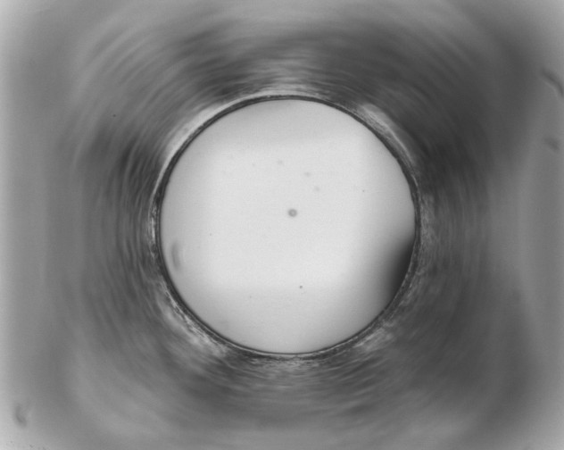 X0000102501292200808291703