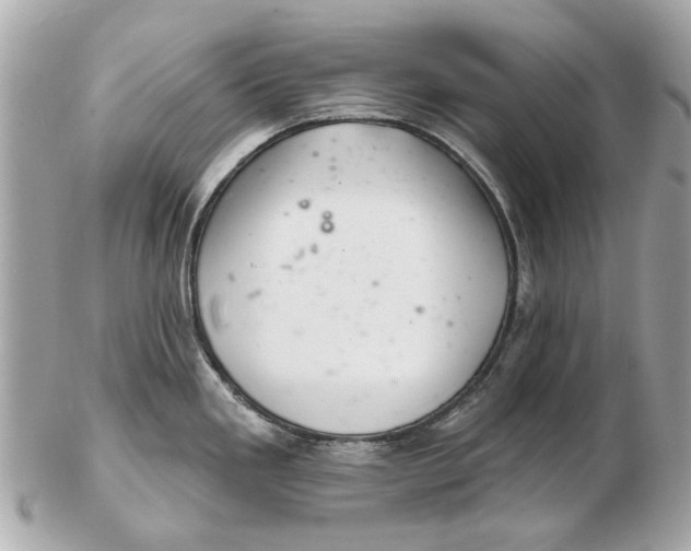 X0000102501293200808291703