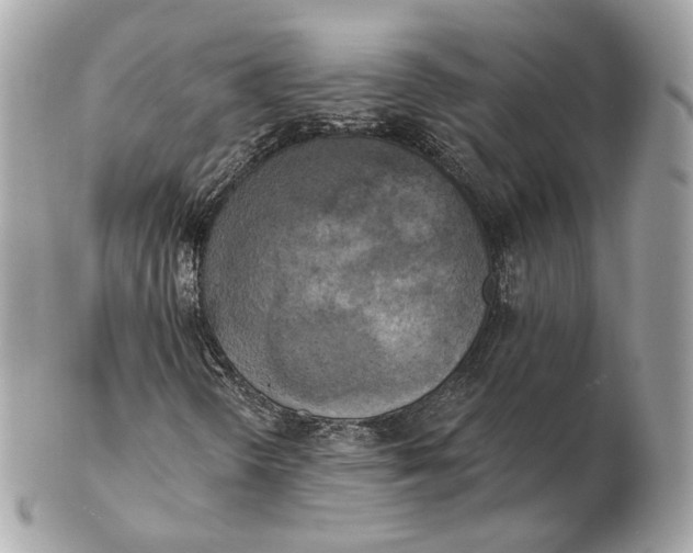 X0000102501298200808291703