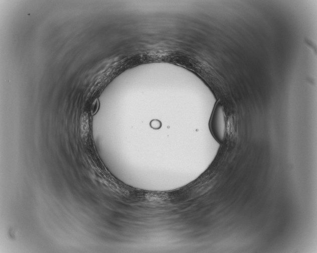 X0000102501299200808291703