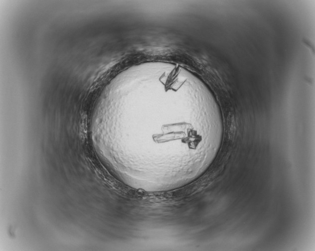 X0000102501301200808291703