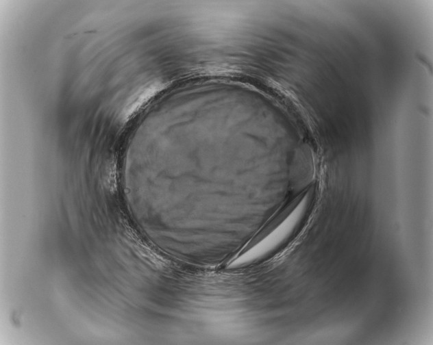 X0000102501306200808291703