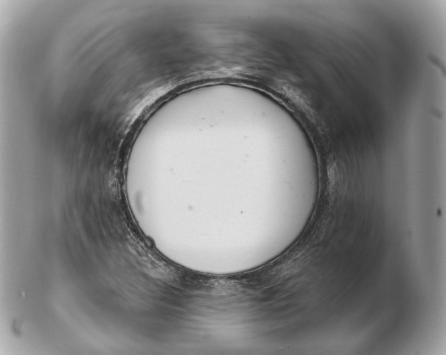 X0000102501308200808291703