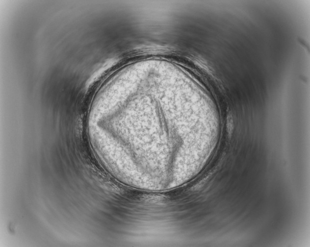 X0000102501309200808291703